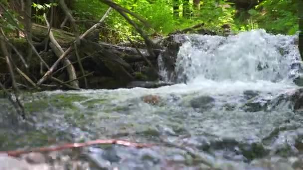 Kalla fjällälven rinner bland stenarna. kall och klar, turkos flod . — Stockvideo