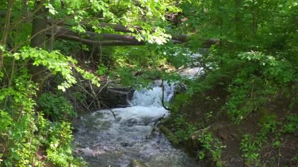 Kalter Gebirgsfluss fließt zwischen Steinen. Kalt und klar, türkisfarbener Fluss . — Stockvideo