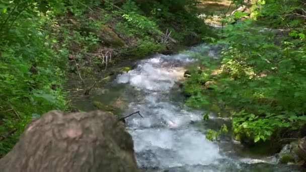 Kalla fjällälven rinner bland stenarna. kall och klar, turkos flod . — Stockvideo