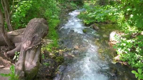 Rivière de montagne froide coule parmi les pierres. rivière froide et claire, turquoise  . — Video