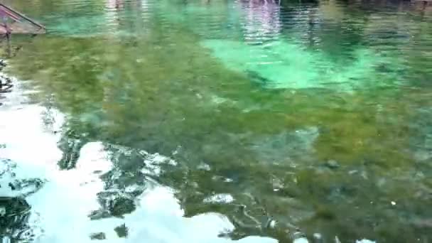 Río frío de montaña fluye entre piedras. río turquesa frío y claro  . — Vídeo de stock