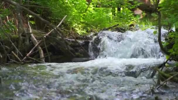 Rivière de montagne froide coule parmi les pierres. rivière froide et claire, turquoise  . — Video