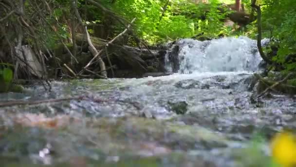 Kalla fjällälven rinner bland stenarna. kall och klar, turkos flod . — Stockvideo