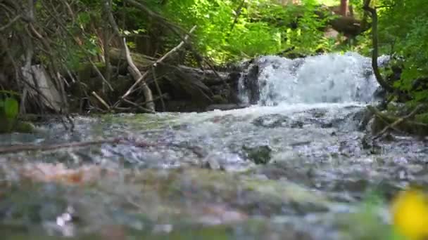 Río frío de montaña fluye entre piedras. río turquesa frío y claro  . — Vídeo de stock