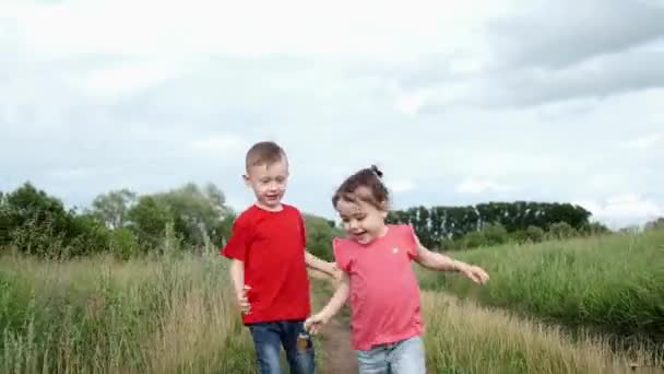 Jongen, meisje speelt inhaalslag. Broer zus die elkaars hand vasthoudt. uitgevoerd op het veld — Stockvideo