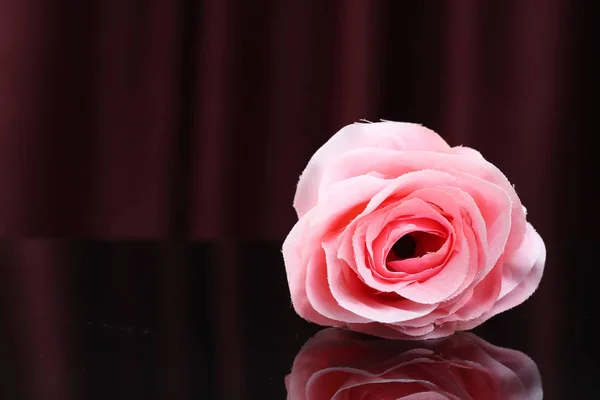 Pink rose on black background — Stock Photo, Image
