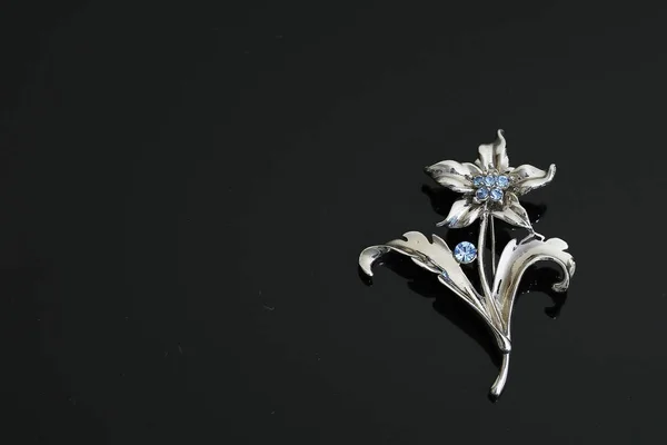 Brooch with silver flowers and jewellry — 스톡 사진