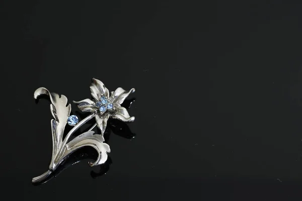 有银花和珠宝的胸针 — 图库照片