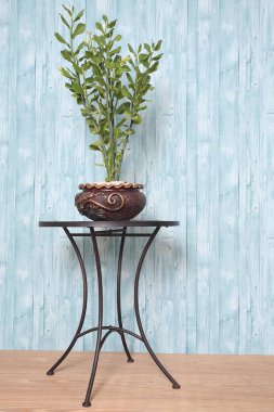 Çiçek arsası ve mavi ahşap duvar kağıdı yapıştırması iç mimari