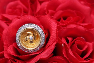 Altın yüzük, Türbin