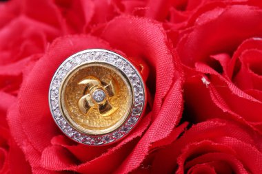 Altın yüzük, Türbin