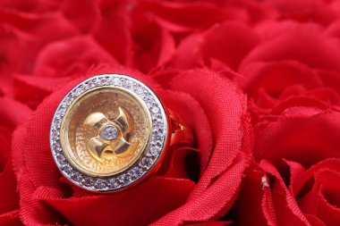 Altın yüzük, Türbin