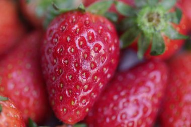 çilek yakın çekim