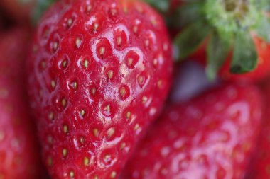 çilek yakın çekim