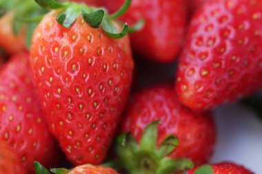 çilek yakın çekim