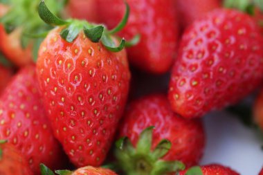 çilek yakın çekim