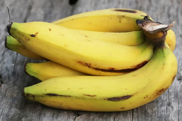 Friss banán-fa háttér — Stock Fotó