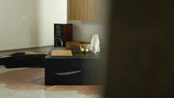 Tisch Aus Verbrannter Eiche Mit Bronzeeinsätzen Wohnzimmer — Stockvideo