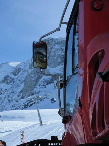 Schneekatze Auf Dem Berg Frostiger Wintertag — Stockfoto