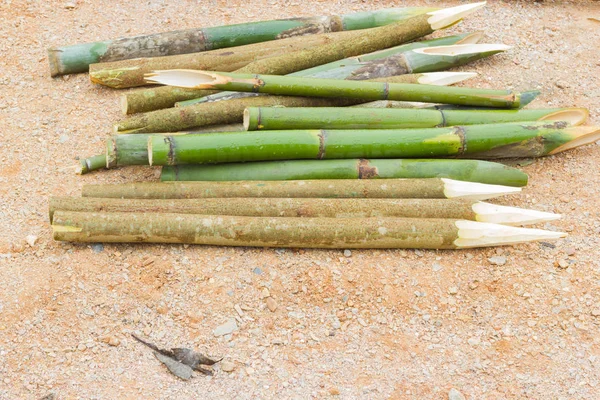 Bastões de bambu afiados no chão usado para esfaquear dracula, copyspace — Fotografia de Stock