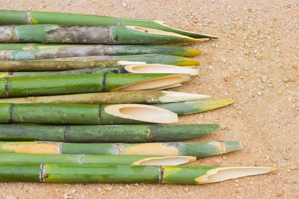 Заостренные бамбуковые палочки на земле, используемые для нанесения ударов дракулой, копировать пространство — стоковое фото
