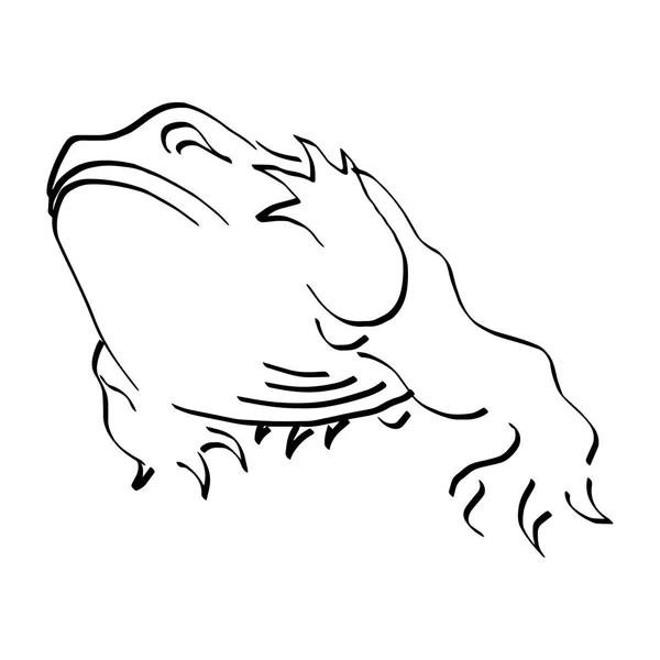Illustratie vector doodles getekende kikker hand zijn hand geïsoleerd verhogen — Stockvector