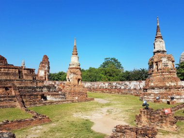 Ayutthaya Historical Park Wat Mahathat parçası. Tayland