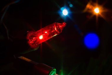 portre renkli Noel ışıkları ağaç boşaltmak ile gece.