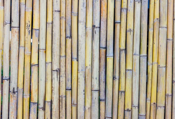 Close-up of bamboo fence background in the park, outdoor — Stock Photo, Image