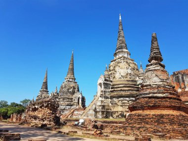 Ayutthaya Historical Park Wat Phra Sri Sanphet parçası. Tayland.