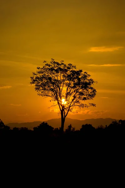 Beautiful landscape image with sun and trees silhouette at sunset. — Stock Photo, Image