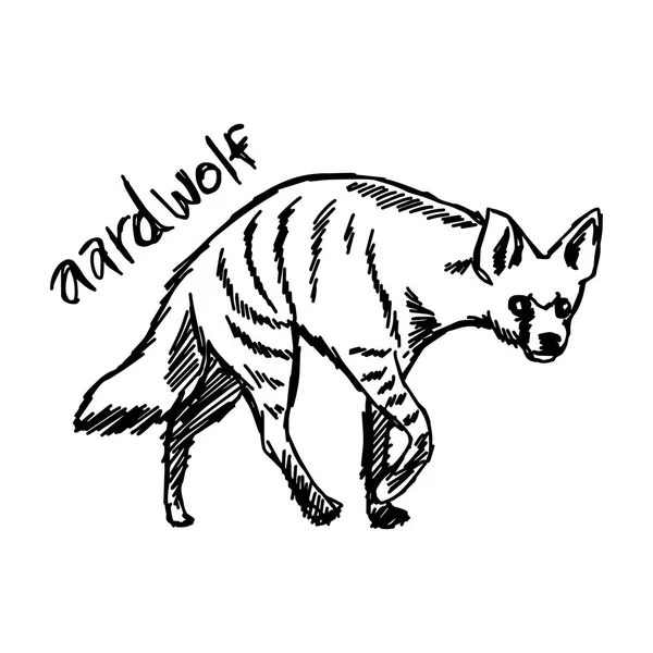 Illustrazione vettoriale schizzo disegnato a mano con linee nere di aardwolf isolato su sfondo bianco — Vettoriale Stock