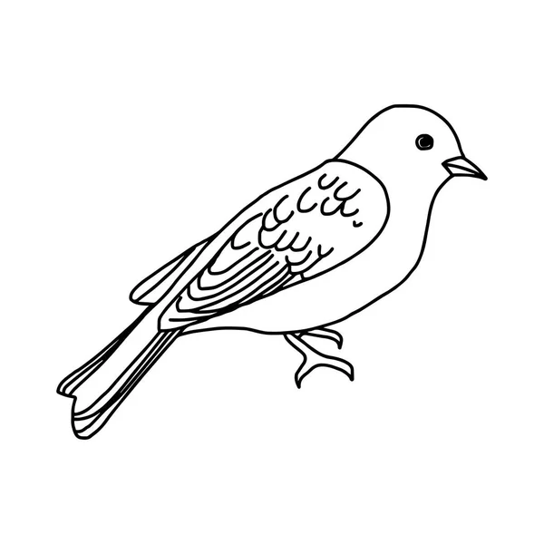 Vektor illustration hand ritad skiss fågel isolerad på vit bakgrund — Stock vektor