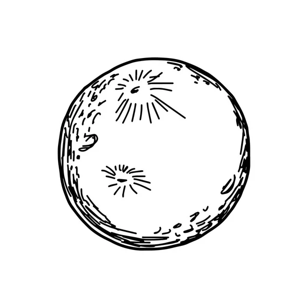 Illustrazione vettoriale disegnato a mano schizzo di luna isolato su sfondo bianco — Vettoriale Stock