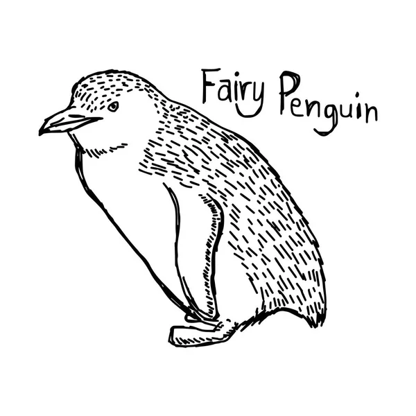 Vector illustratie schets hand getekend met zwarte lijnen voor fairy penguin geïsoleerd op witte achtergrond — Stockvector