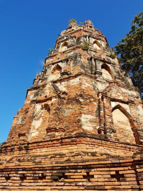 Ayutthaya Historical Park Wat Mahathat parçası. Tayland