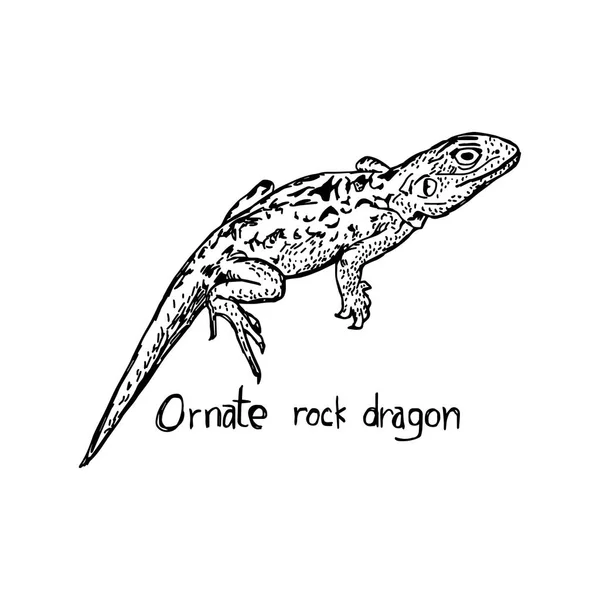 Dragon rocheux décoré - croquis vectoriel dessiné à la main avec des lignes noires, isolé sur fond blanc — Image vectorielle