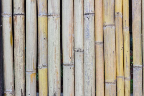 Bamboo fence wall texture background, shallow depth of field — Stock Photo, Image