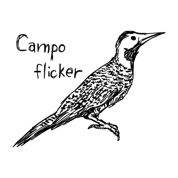 Campo parpadeo - ilustración vectorial bosquejo dibujado a mano con líneas negras, aislado sobre fondo blanco — Vector de stock