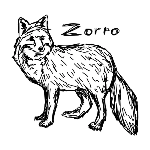 Zorro standing - disegno vettoriale disegnato a mano con linee nere, isolato su sfondo bianco — Vettoriale Stock