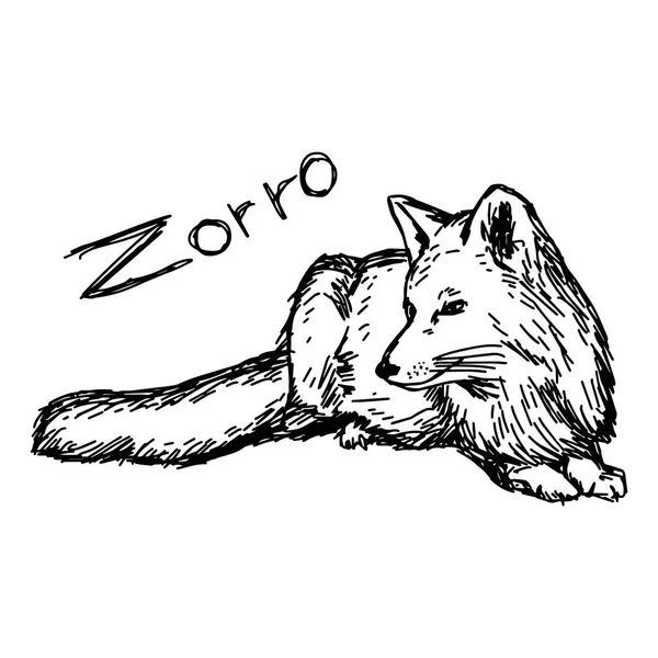 Zorro lying - vector illustration sketch hand drawn with black lines, isolated on white background — Stock Vector