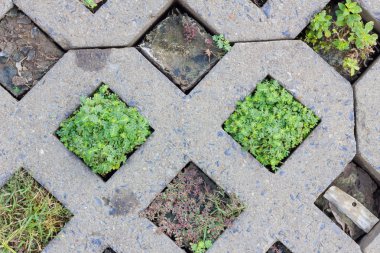 Beton foothpath, arka plan arasında yeşil bitkiler