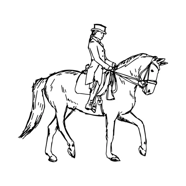 Caballo ecuestre - ilustración vectorial boceto dibujado a mano con líneas negras, aislado sobre fondo blanco — Archivo Imágenes Vectoriales