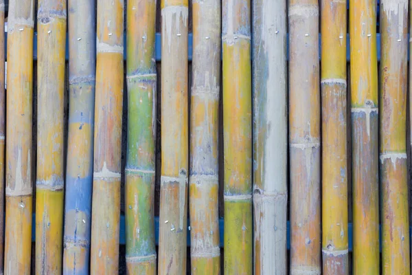 Cerca de bambu parede textura fundo, profundidade rasa de campo — Fotografia de Stock