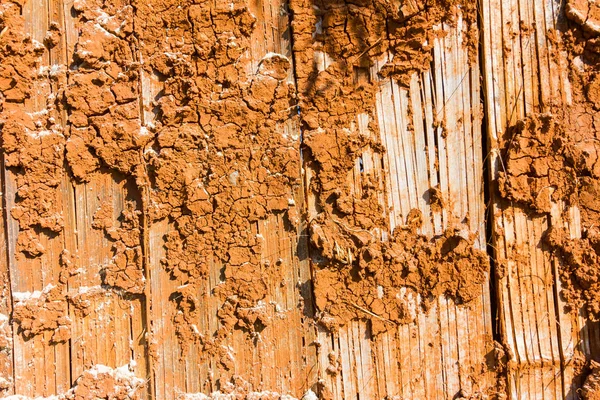Closeup termite nest on wooden wall of a wooden house, Thailand — Stock Photo, Image