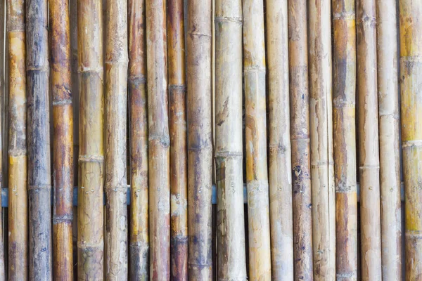 Bambu çit duvar doku arka plan, sığ derinlik-in tarla — Stok fotoğraf