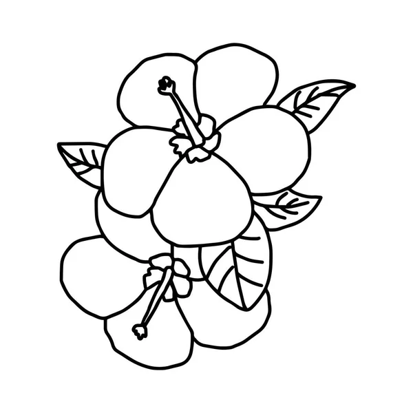 Plumeria - vector illustratie schets hand getekend met zwarte lijnen, geïsoleerd op witte achtergrond — Stockvector