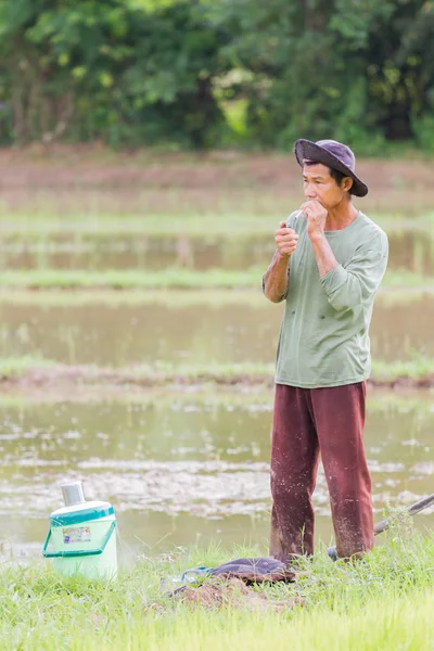 CHIANG RAI, TAILANDIA - 16 DE JUNIO: Campesino asiático no identificado que fuma mientras trabaja en el campo el 16 de junio de 2017 en Chiang rai, Tailandia. Foto vertical . —  Fotos de Stock