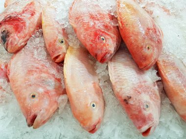 süpermarket Tayland üzerinde buz arka plan üzerinde kırmızı Nil tilapia