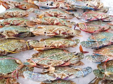 Buz süpermarkette, gıda kavramı arka plan üzerinde taze Yengeç